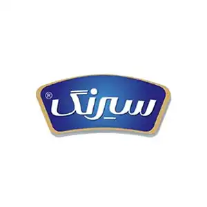 شرکت سیرنگ